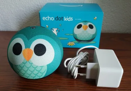 Echo Dot Kids Test