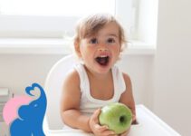 Ab wann dürfen Babys Äpfel essen?