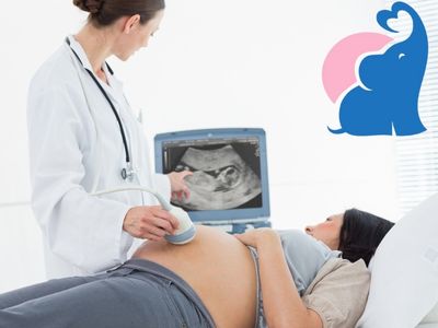 Wahrscheinlichkeit schwanger zu werden