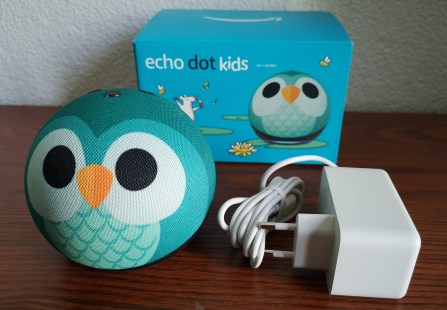 Echo Dot Kids Test