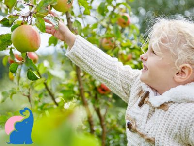 Welcher ist der beste Kinder-Fruchtriegel?